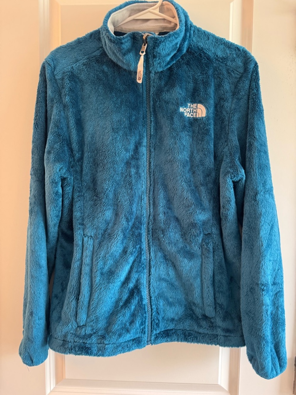 The North Face Teal Plush Fleece Full-Zip Jacket